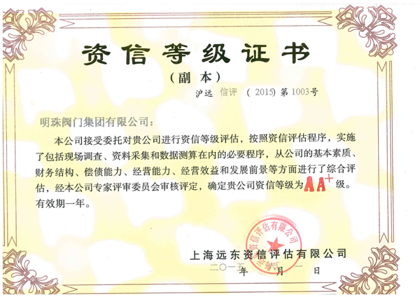 Credit rating certificate